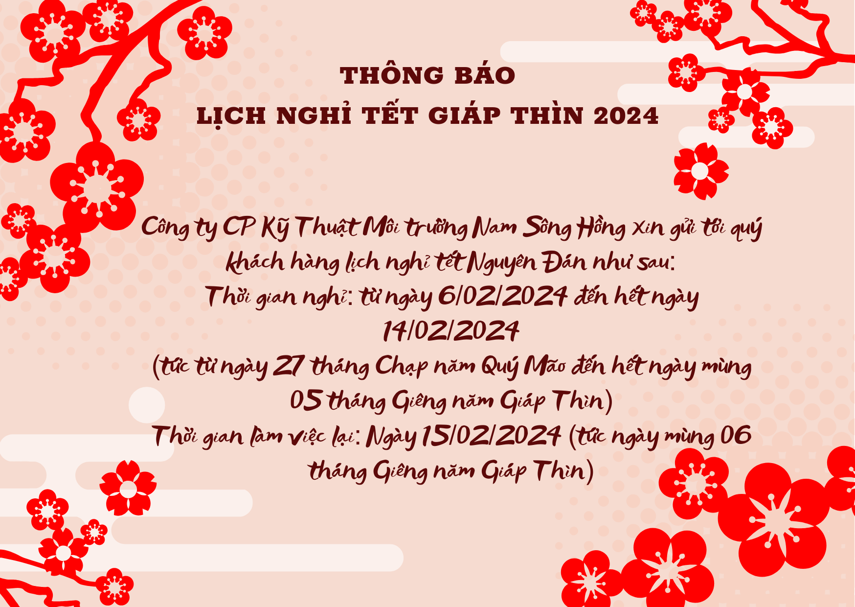 THNG BO NGH TT NGUYN N NM 2024